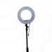 Vitopal RL-12" Ring Light 36 W Dimmable Ring Video Light Continous Camera Lighting